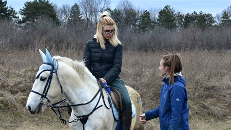 How To Get Your Horse To Trust You 10 Steps With Pictures