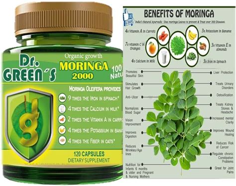 Organic Moringa Oleifera Powder Capsules Te Da Pura Vida Mg X S