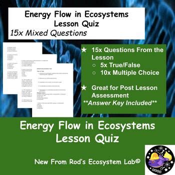 Energy Flow In Ecosystems Lesson Quiz W Answer Key Editable TPT