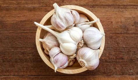 Health Benefits Of Garlic