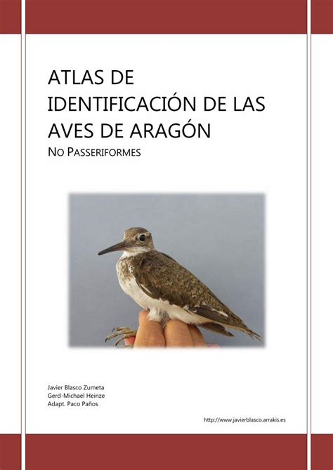 PDF ATLAS DE IDENTIFICACIÓN DE LAS AVES DE ARAGÓNtagusringinggroup