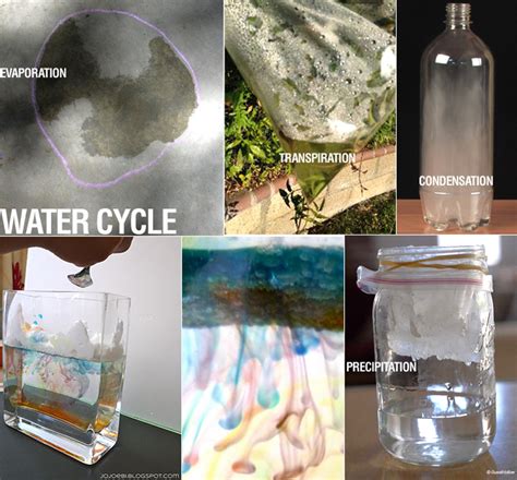 E is for Explore!: Precipitation, Evaporation, Transpiration, Condensation