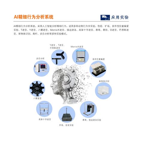 （段）行为识别系统：多功能整合型精细行为识别分析系统；大小鼠精细行为分析系统 哔哩哔哩