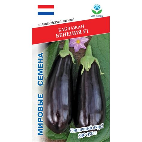 Баклажаны Фото Описание Характеристики Отзывы – Telegraph
