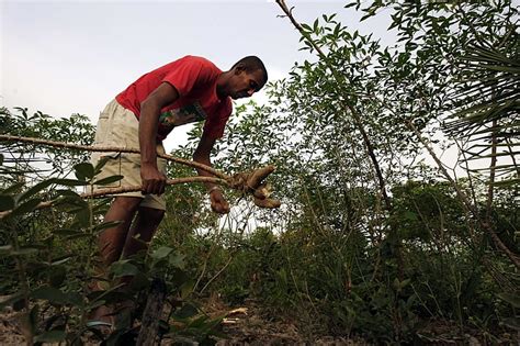 Quilombolas Denunciam Racismo Institucional E Direitos Humanos