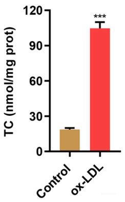 Total Cholesterol TC Colorimetric Assay Kit Single COD PAP Method