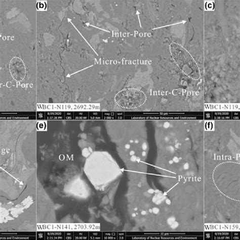 Pore System Microscopic Characteristics Of The Transitional Shale