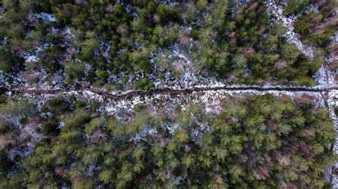 Aerial Photography of Forest · Free Stock Photo