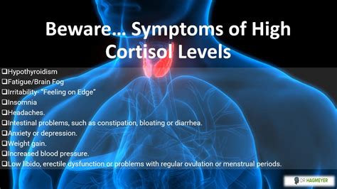 5 Ways To Balance Cortisol Levels In Your Body Dr Hagmeyer