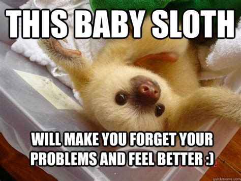 Cute Baby Sloth Meme