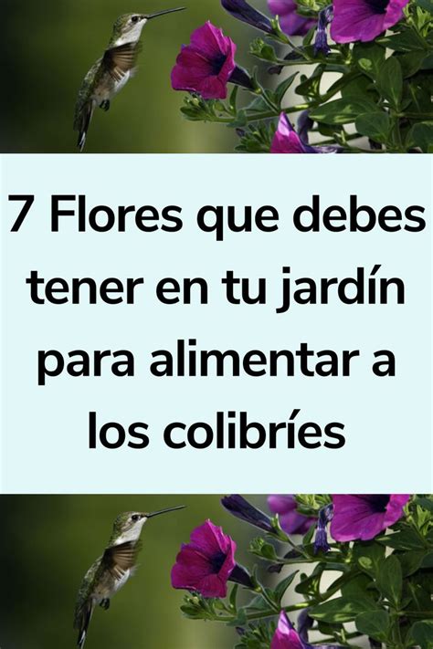 7 Flores que debes tener en tu jardín para alimentar a los colibríes