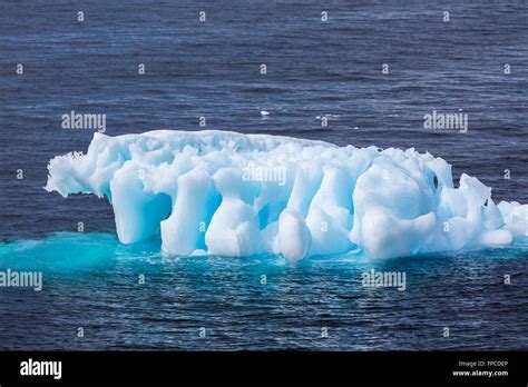 Icebergs in the Antarctic Peninsula, Antarctica Stock Photo - Alamy