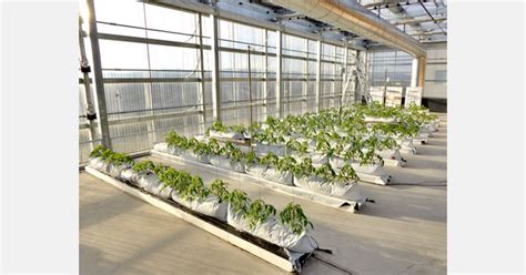 Discovering The Potential Of Integrated Greenhouses