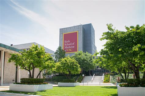 The Keck School of Medicine of USC names 11 endowed faculty members ...