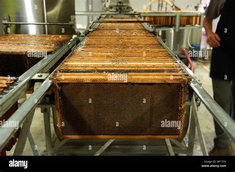 Honey Centrifuge Spinning Machine Hi Res Stock Photography And Images