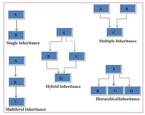 Answer The Following Questions Inheritance Computer Science