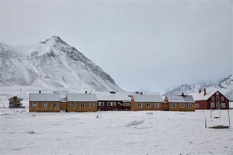 Norway Arctic Svalbard Islands Lure Tourists With Polar Bears