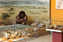 Musée de Préhistoire de Tautavel Hominidés