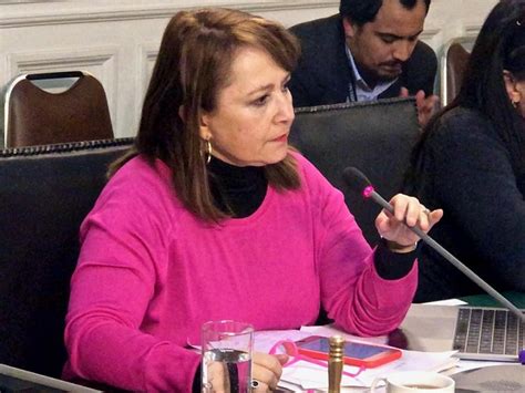 Diputada Hernando Plantea Volver Al Voto Obligatorio Regionalista Cl