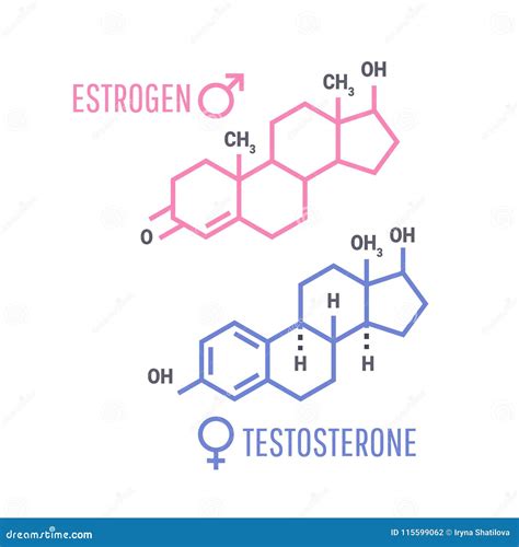 Hormones Molecular Formula Cartoon Vector Cartoondealer