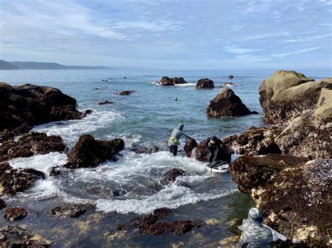 Warming waters are ‘scrambling ocean life’ on all sides of the United