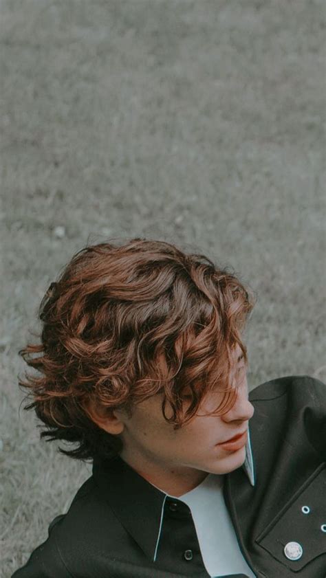 Timothee Chalamet Aesthetic Wallpaper