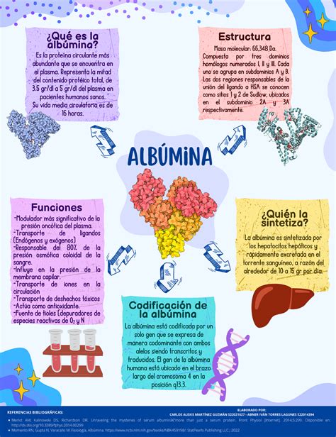 Albúmina mapa conceptual Albúmina Qué es la albúmina Es la