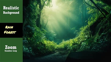 Zoom Virtual Backgrounds Rain Forest Rainforest Backdrop Office ...