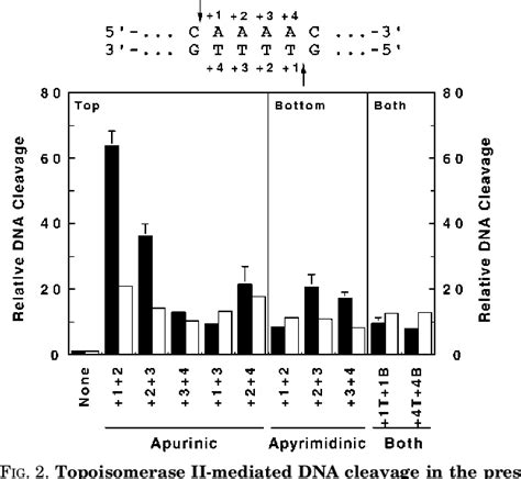 Figure 1 From Topoisomerase II Mediated DNA Cleavage And Religation In