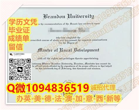 加拿大辍学认证Brandon毕业证书学士学历 硕士学历扣微328 970 823办理布兰登大学高仿学历文凭 BU文凭证书成绩单 BU