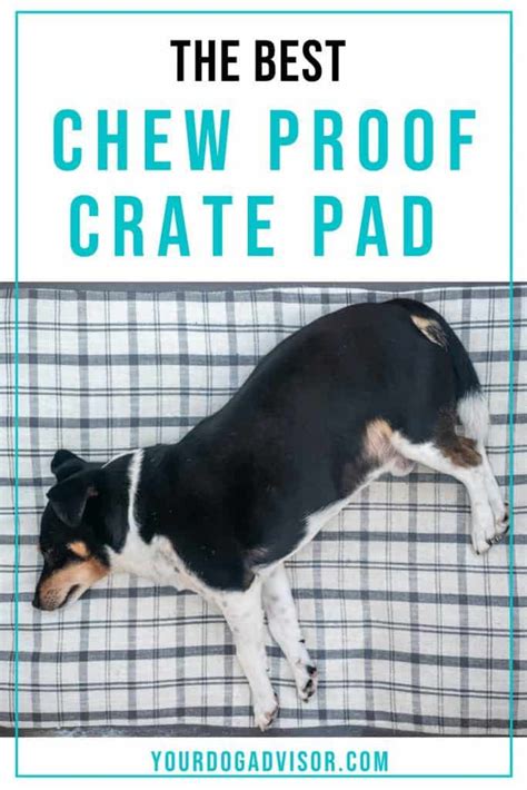 The Best Chew Proof Crate Pad | Your Dog Advisor