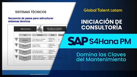 Iniciaci N En Consultor A Sap S Hana Pm Domina Las Claves Del