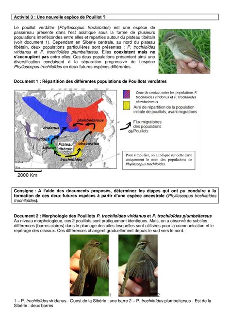 Activité 3 exercice d SVT Activité 3 Une nouvelle espèce de