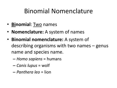 Objective Swbat Describe The Levels Of Biological Classification And