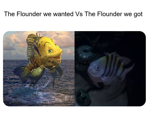 Flounder : r/memes