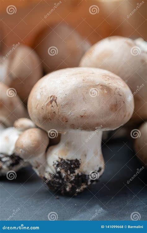 I Funghi Prataioli Marroni Organici Freschi Della Castagna Dalla