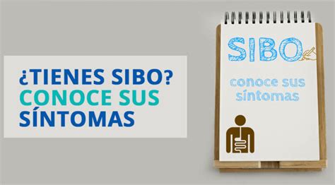 Síndrome Del Salvador Todo Lo Que Necesitas Saber Sobre Sus Síntomas Y