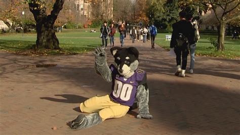 Harry the Husky brings spirit to University of Washington | king5.com