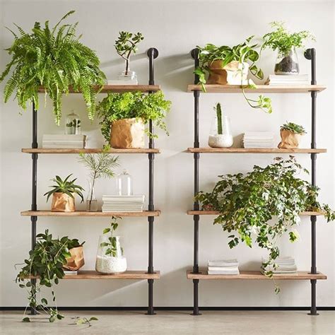 Plant Walls DIY Wall Styling Part 1 Thrive Wire