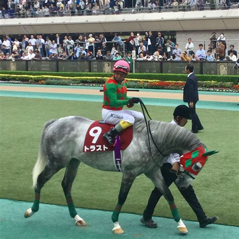 東京競馬場で逢おう 東京ハイジャンプ 府中白糸台日記