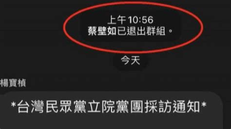 四叉貓爆退民眾黨群組 蔡壁如：選前成立太多現在整理 東森最即時最快速新聞