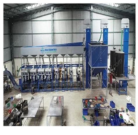 Automatic Cashew Processing System At Rs 590000 Piece Cashew Nut