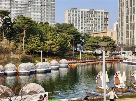 인천 벚꽃 명소 송도 가볼만한곳 핫플 볼거리 센트럴파크 보트 자전거 공원 산책로 네이버 블로그