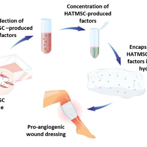 In Vitro Assessment On Biocompatibility Of The Hydrogel Measured By Mtt