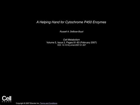 A Helping Hand For Cytochrome P450 Enzymes Ppt Download