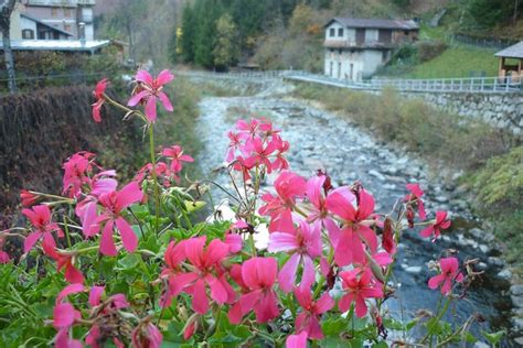 Day Trip From Milan Valtellina And Wine Tasting Private Tour