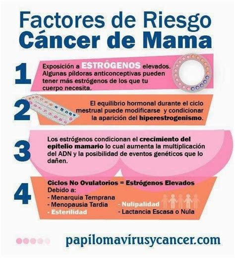 senología Factores de Riesgo CÁNCER DE MAMA