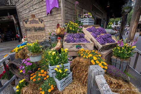 Knotts Berry Farm Boysenberry Festival California Through My Lens