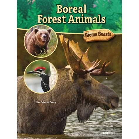 Boreal Forest Animals - Walmart.com - Walmart.com