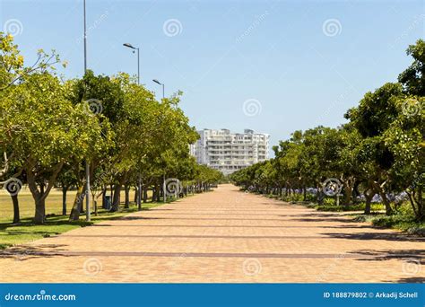 Entrance or Path To Green Point Park in Cape Town Stock Photo - Image ...